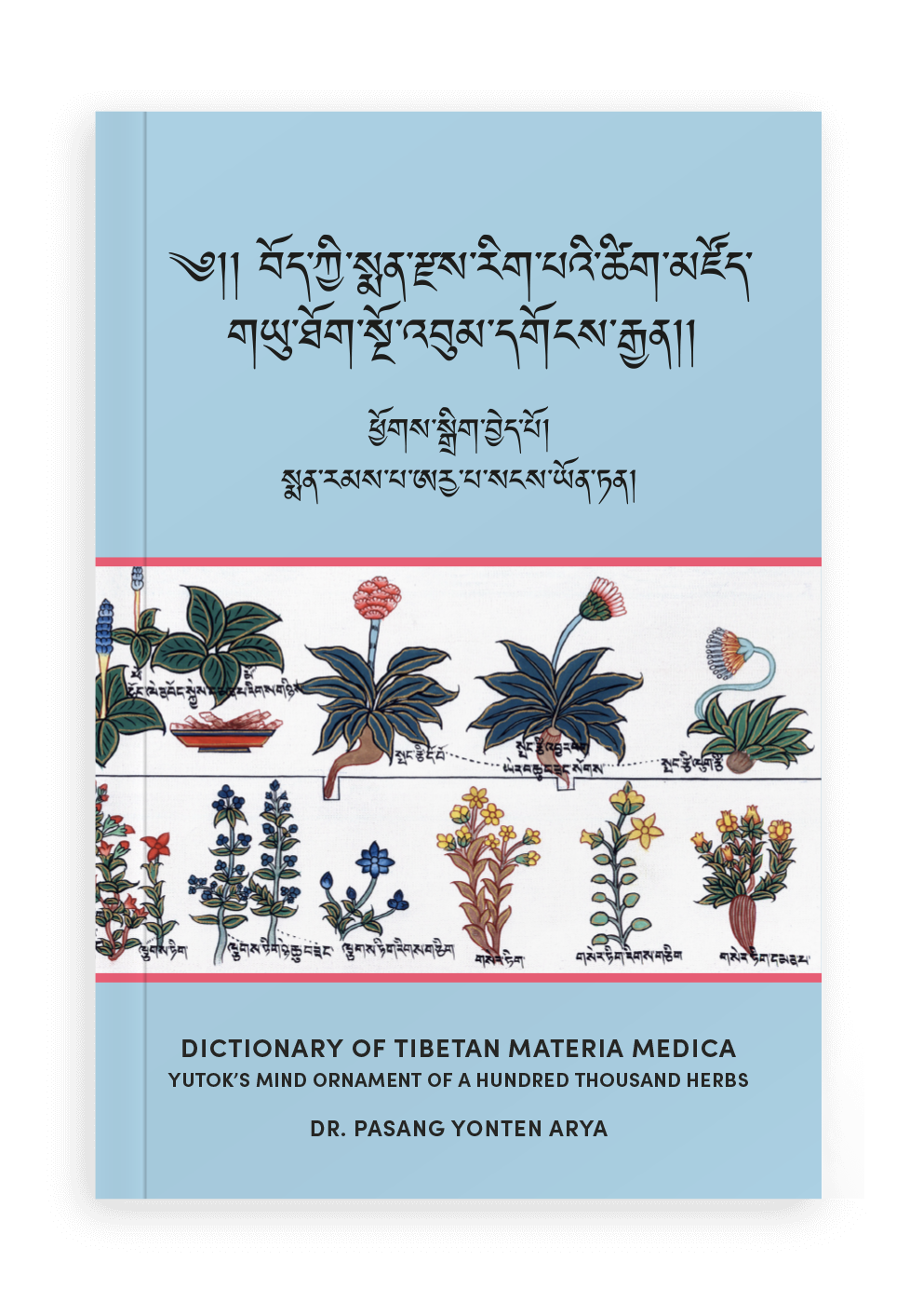 reprint Dictionary of tibetan materia medica